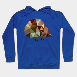 Hedgehog Hoodie